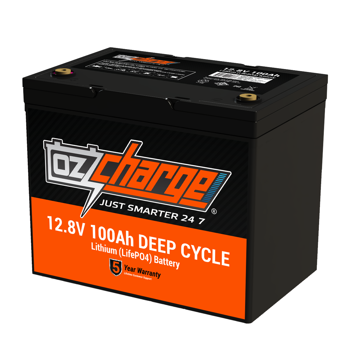 Multiple packs 100Ah LiFePO4 Lithium Deep Cycle Battery - Connect In Series  [10-year Warranty]